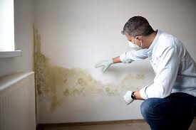 Best Water Damage & Mold Remediation in Bogota, NJ